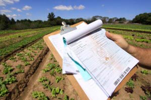 Contabilidade Rural