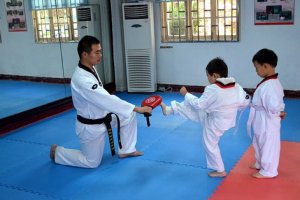 Teoria do Taekwondo para Escolas