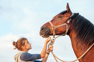 Introdução ao Auxiliar de Veterinária para Equinos